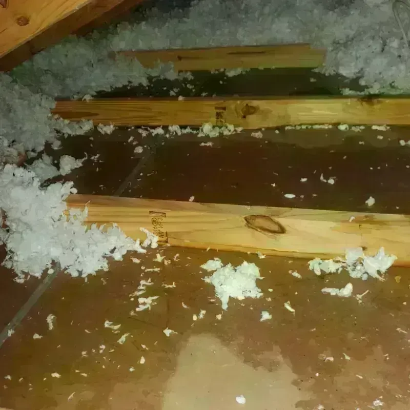 Attic Water Damage in Greenback, TN